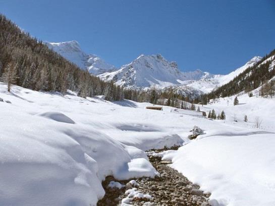 בית מלון כפרי Valschena