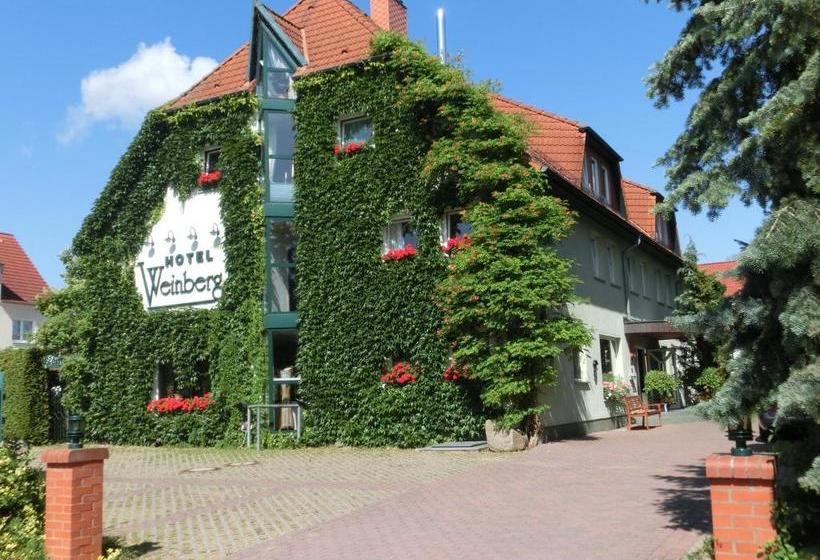 فندق Pension Weinberg Güstrow