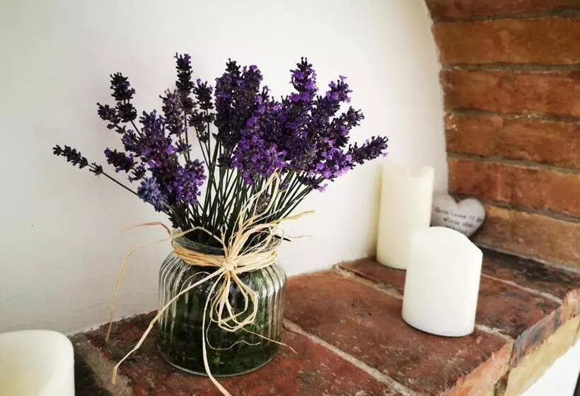 펜션 Das Stadthaus