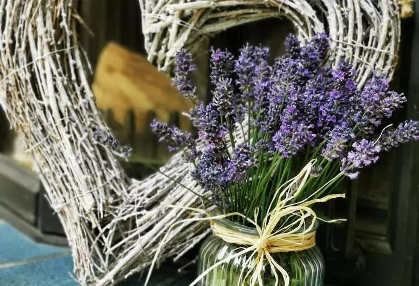 펜션 Das Stadthaus