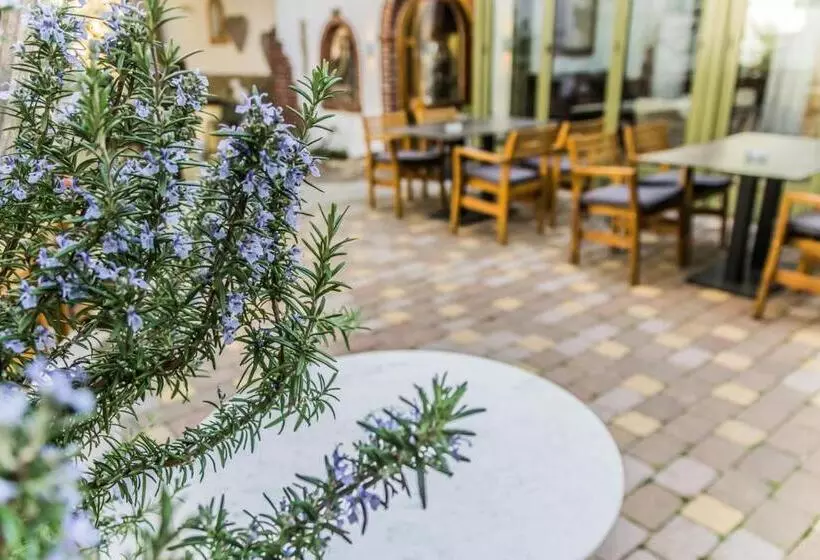 펜션 Das Stadthaus