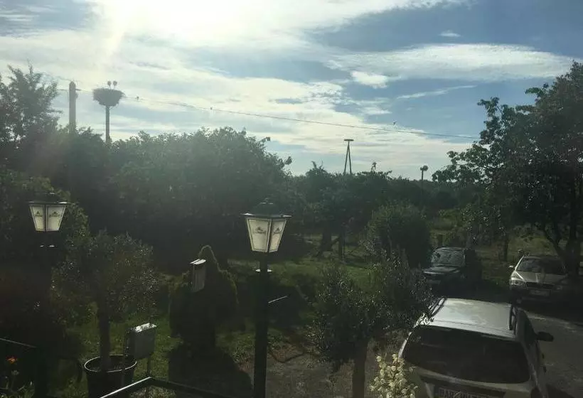 Pension Gestüt Lindenhof