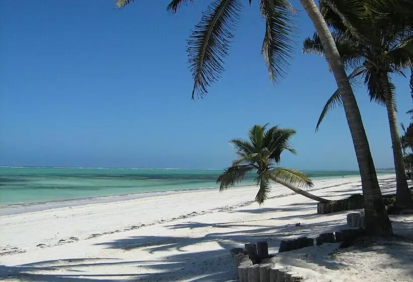 ホテル Five Palms Bwejuu