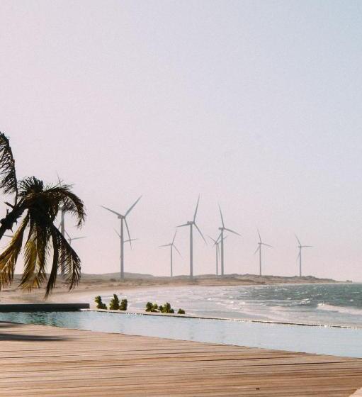 Отель Villa Mango