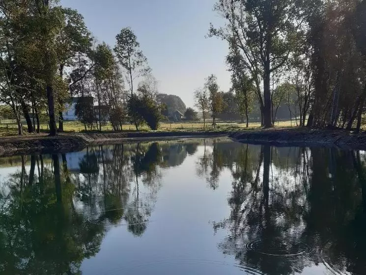 Aamiaismajoitus (B&B) Les Chambres De La Fontaine De Brul