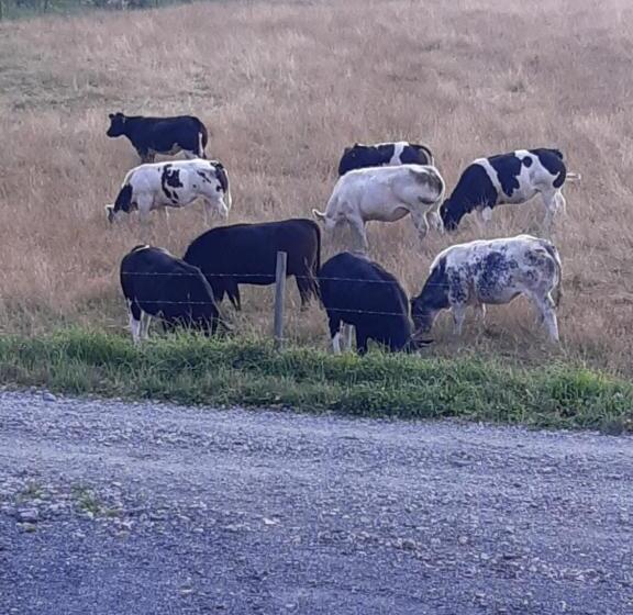 تختخواب و صبحانه Les Chambres De La Fontaine De Brul