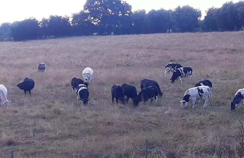 Aamiaismajoitus (B&B) Les Chambres De La Fontaine De Brul