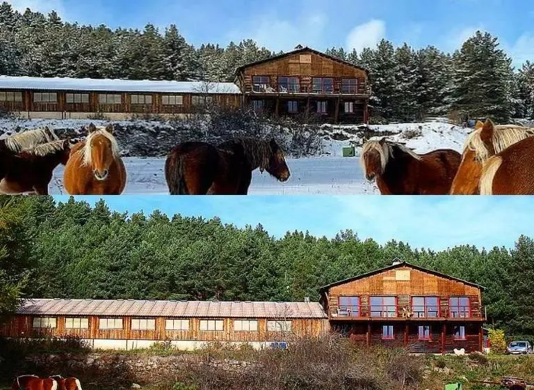 ベッドアンドブレックファースト Gîte Ranch Le Serpolet