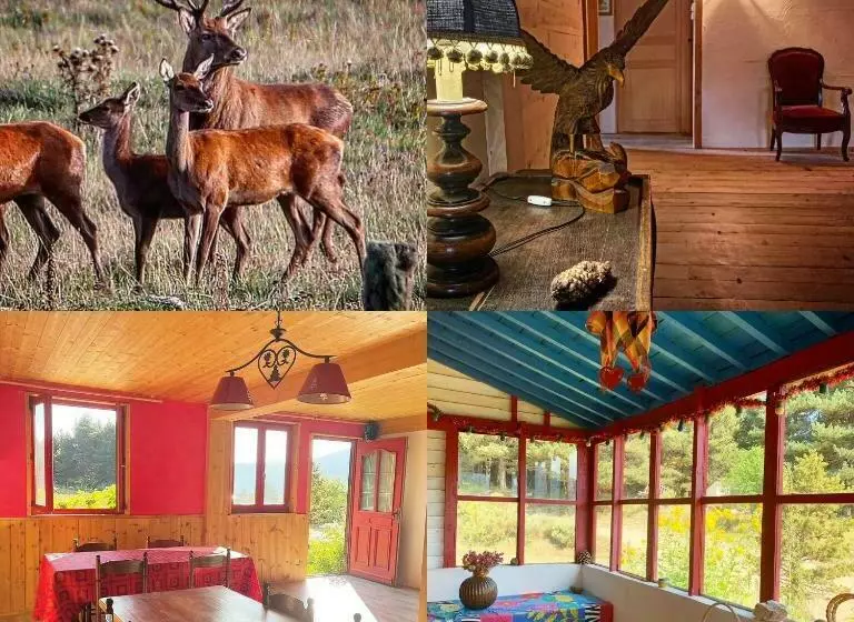 ベッドアンドブレックファースト Gîte Ranch Le Serpolet