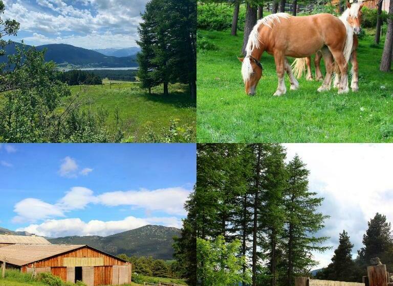 Bed and Breakfast Gîte Ranch Le Serpolet