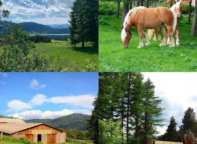 ベッドアンドブレックファースト Gîte Ranch Le Serpolet