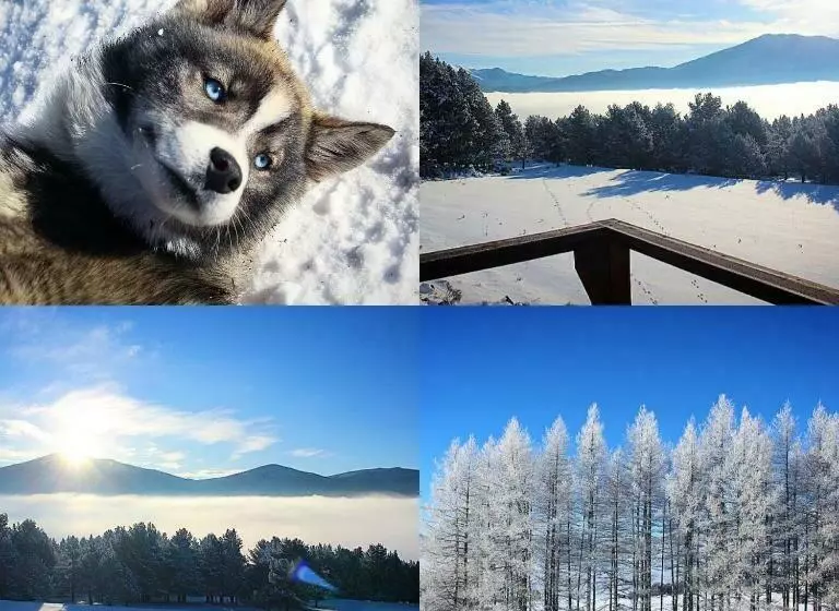 ベッドアンドブレックファースト Gîte Ranch Le Serpolet