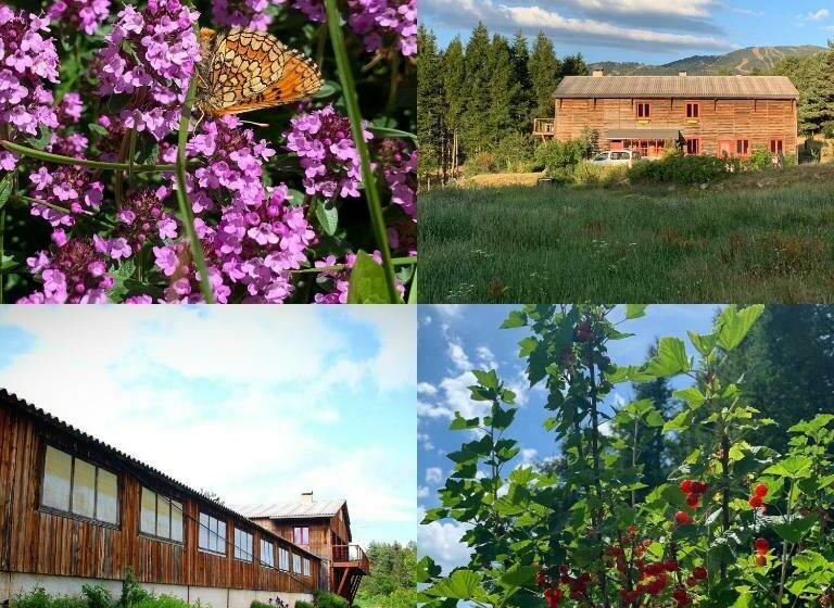 Bed and Breakfast Gîte Ranch Le Serpolet