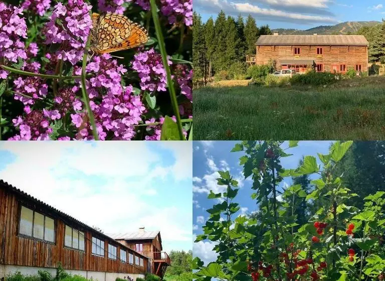 ベッドアンドブレックファースト Gîte Ranch Le Serpolet