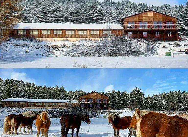 ベッドアンドブレックファースト Gîte Ranch Le Serpolet