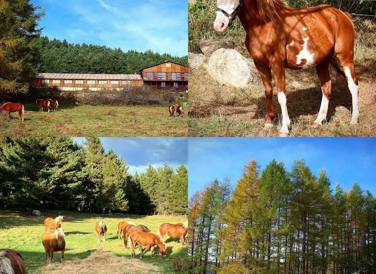 ベッドアンドブレックファースト Gîte Ranch Le Serpolet