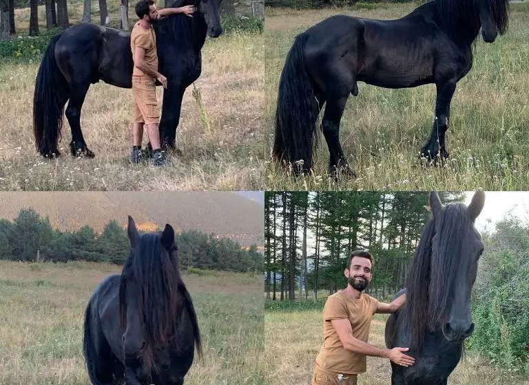 ベッドアンドブレックファースト Gîte Ranch Le Serpolet