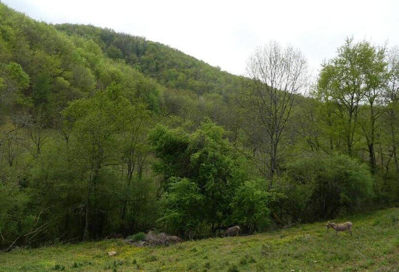 Aamiaismajoitus (B&B) Source Nature