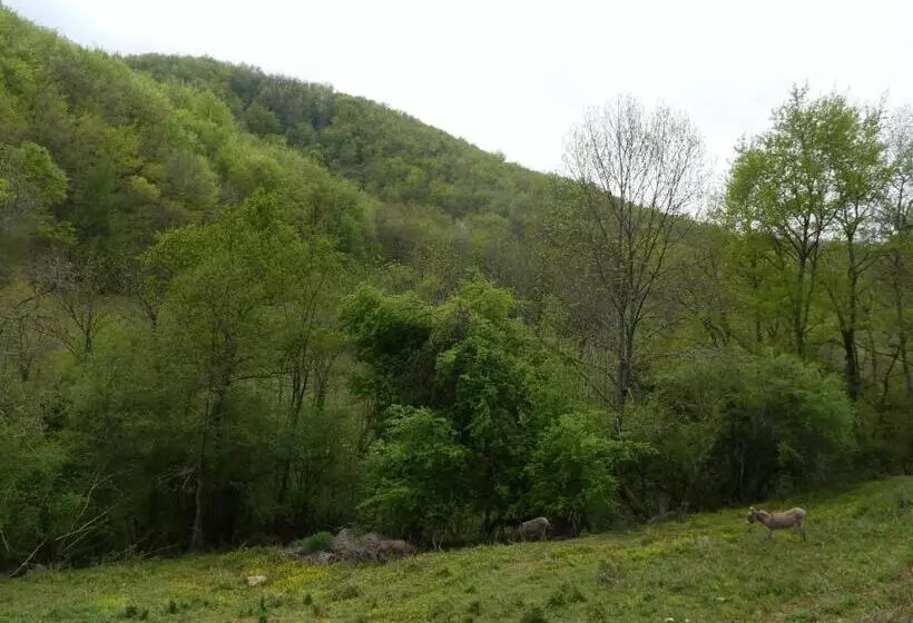 Aamiaismajoitus (B&B) Source Nature