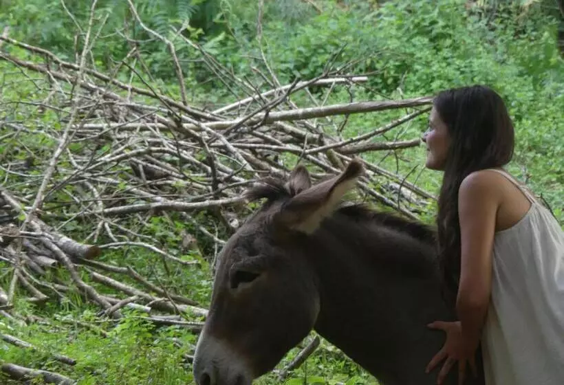 Aamiaismajoitus (B&B) Source Nature