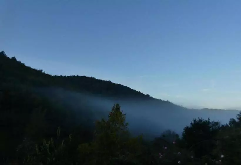 Aamiaismajoitus (B&B) Source Nature