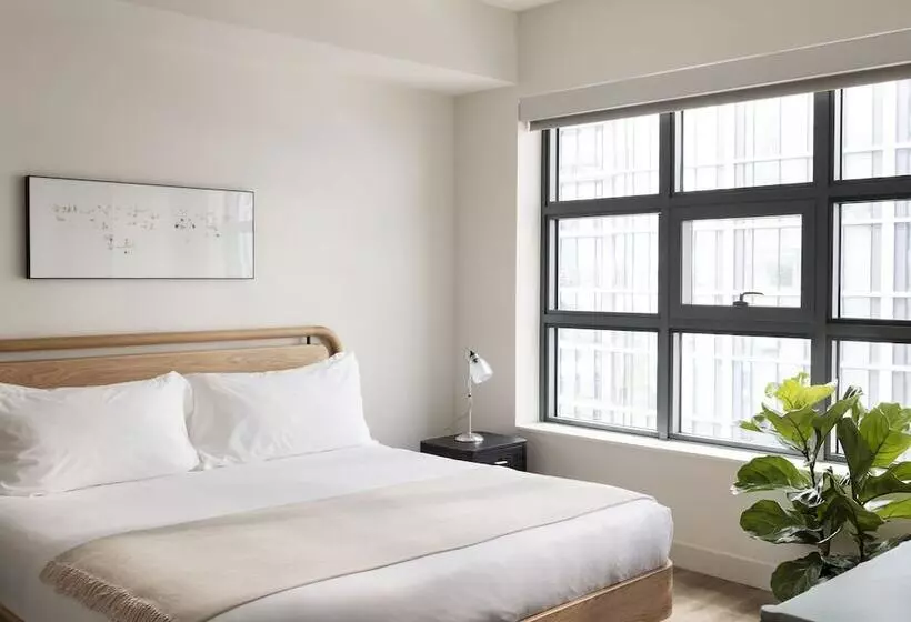 ホテル Roost Tampa