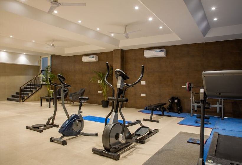 Perch Service Apartment Dlf Cyber City