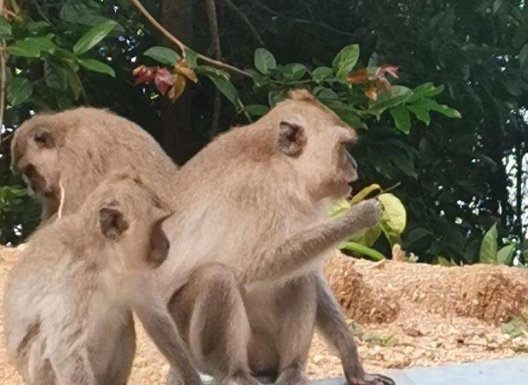 Otel Haadrin Village Fullmoon