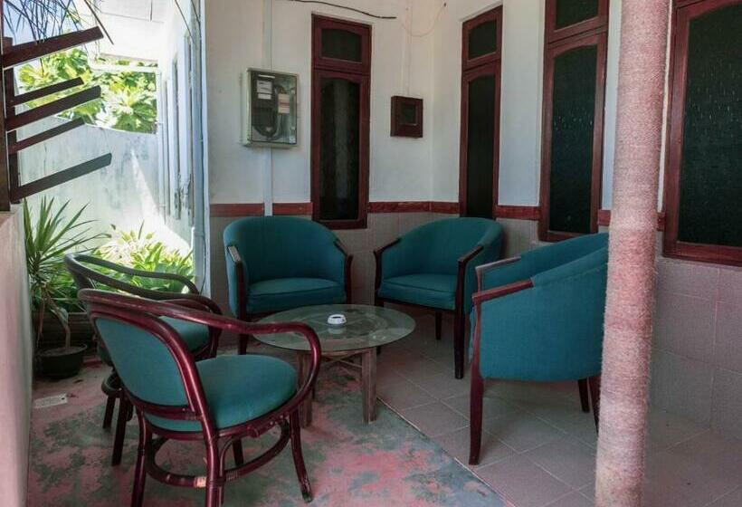 تختخواب و صبحانه Mangrove Inn Hura