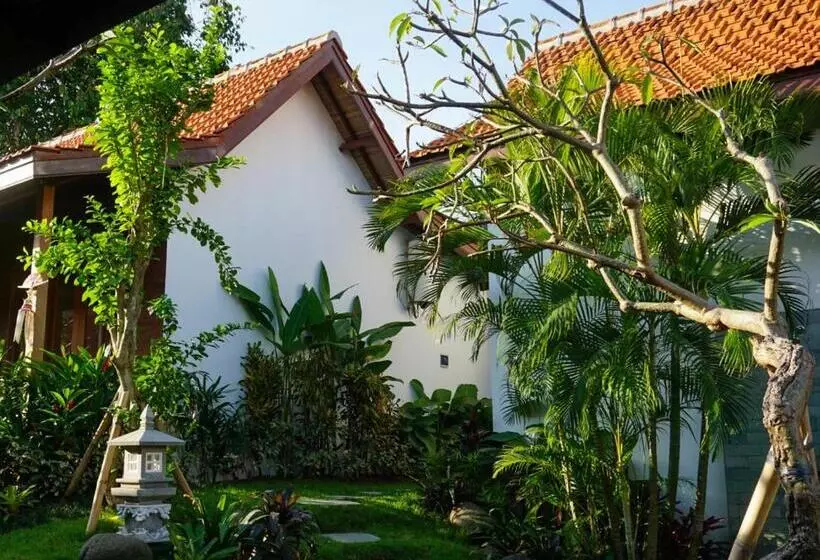 پانسیون Jinar Guest House