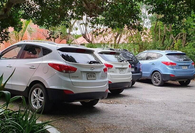 تختخواب و صبحانه Abaai Resort