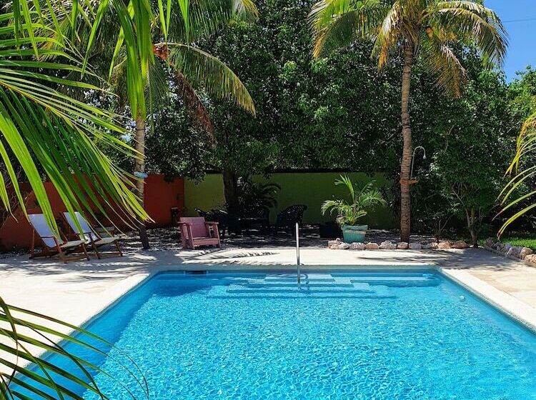 تختخواب و صبحانه Abaai Resort