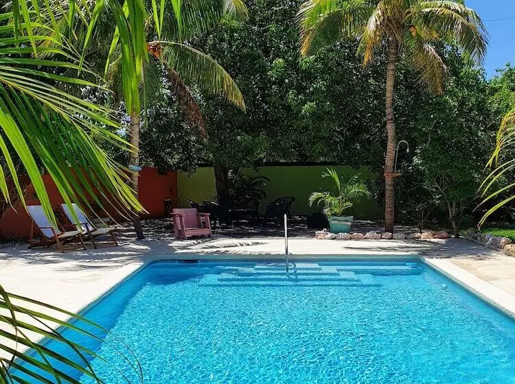 تختخواب و صبحانه Abaai Resort