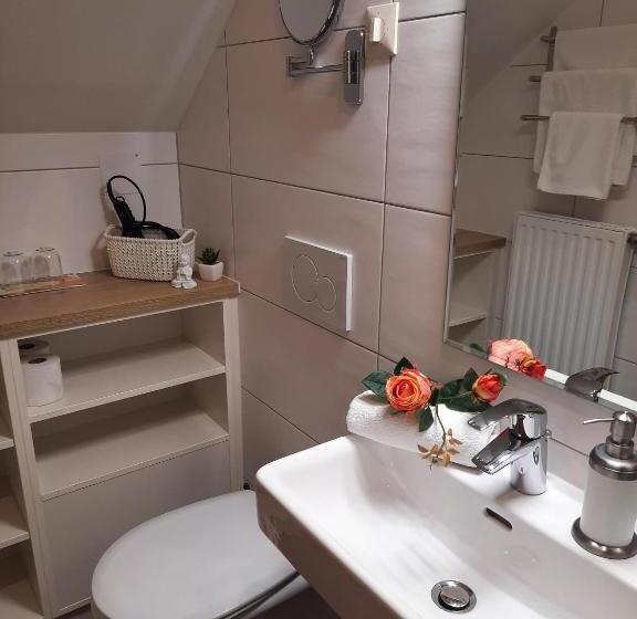 بنسيون Haus Franz