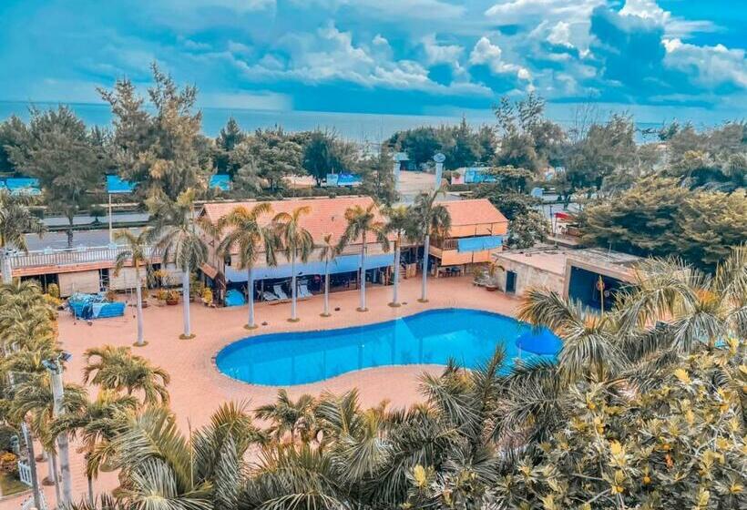 استراحتگاه Nhà ống Newwave Vũng Tàu   Venuestay