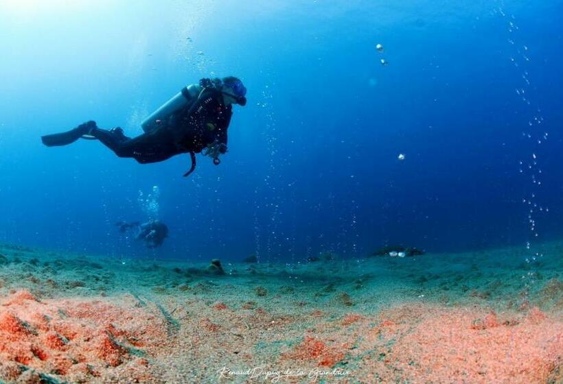 فندق صغير La Tortue Diving Resort Dauin