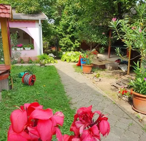Apartmány Viola