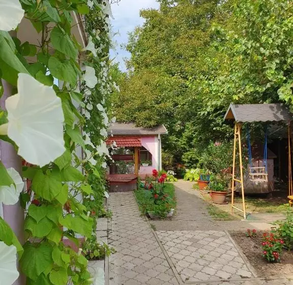Apartmány Viola