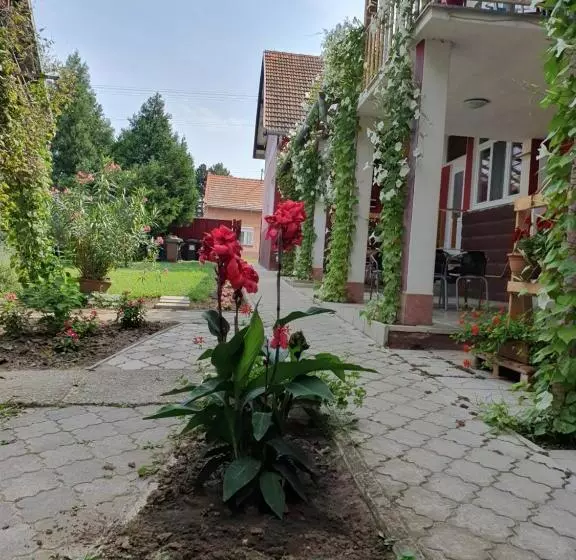 Apartmány Viola