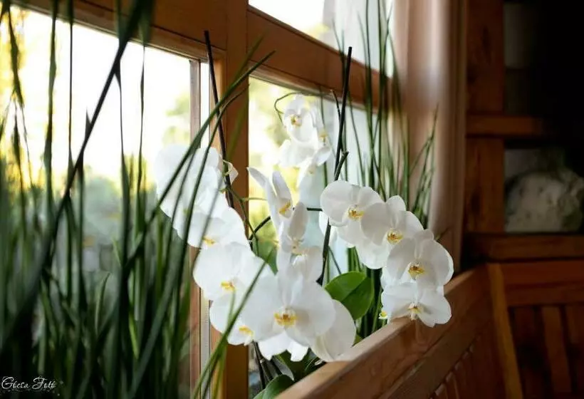 هاستل Hiša Vina Cuk