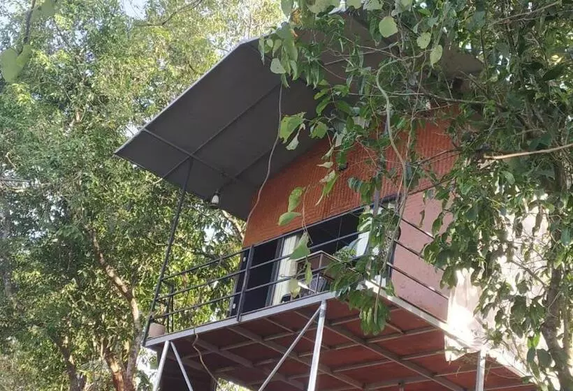 Aamiaismajoitus (B&B) Paithal Mount Resort