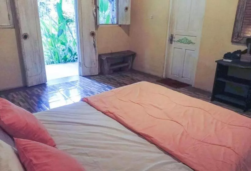 ペンション Pranajaya Villa At Desa Wisata Tejakula