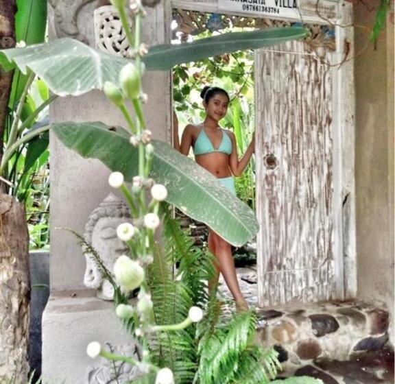 Pansiyon Pranajaya Villa At Desa Wisata Tejakula