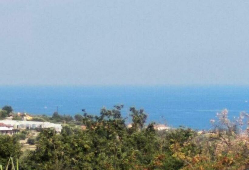 بنسيون Teresa S House