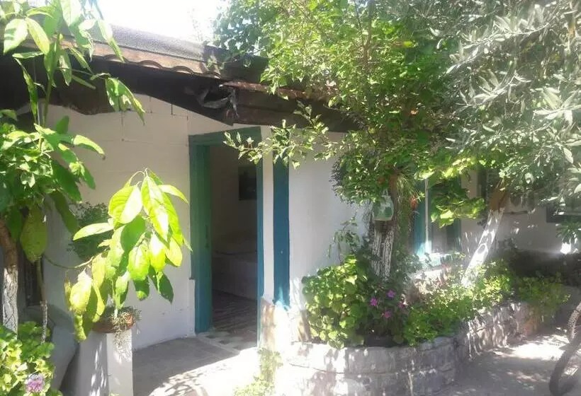 Zakkum Pansiyon