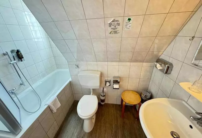 בית מלון כפרי Aalreuse