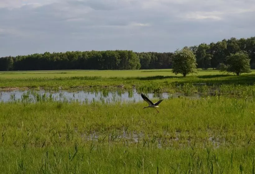 فندق Fürstenhof