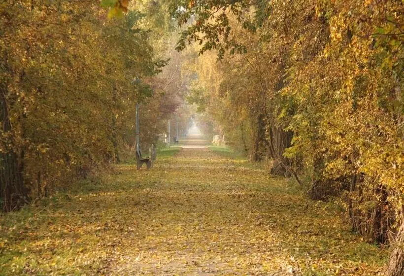 ホテル Lagunenstadt Am Haff Gmbh