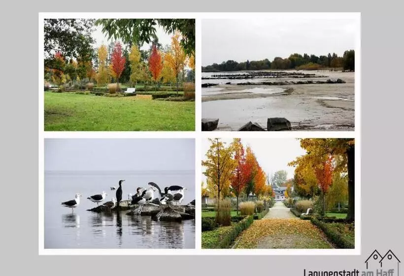 ホテル Lagunenstadt Am Haff Gmbh