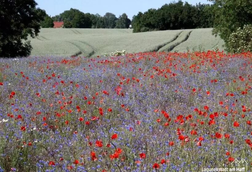 ホテル Lagunenstadt Am Haff Gmbh